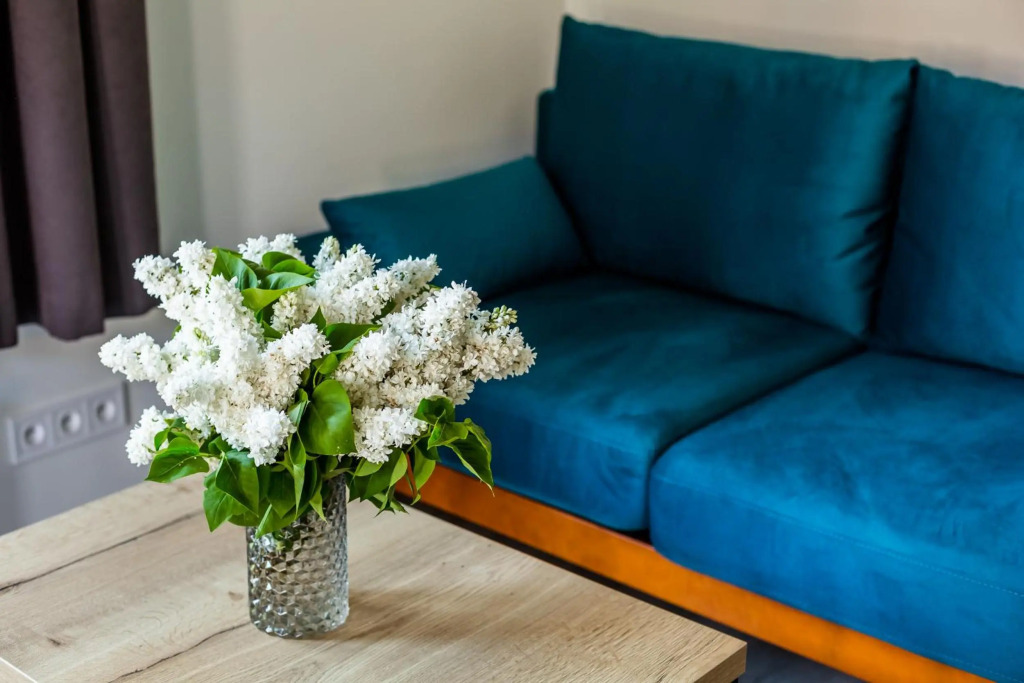 Central Park Apartment