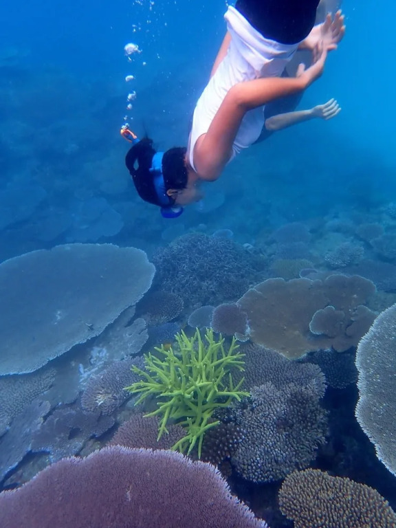Teouma Reef Resort