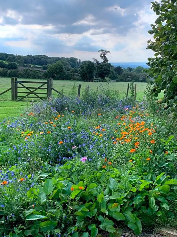 Farmhouse studio near Shrewsbury