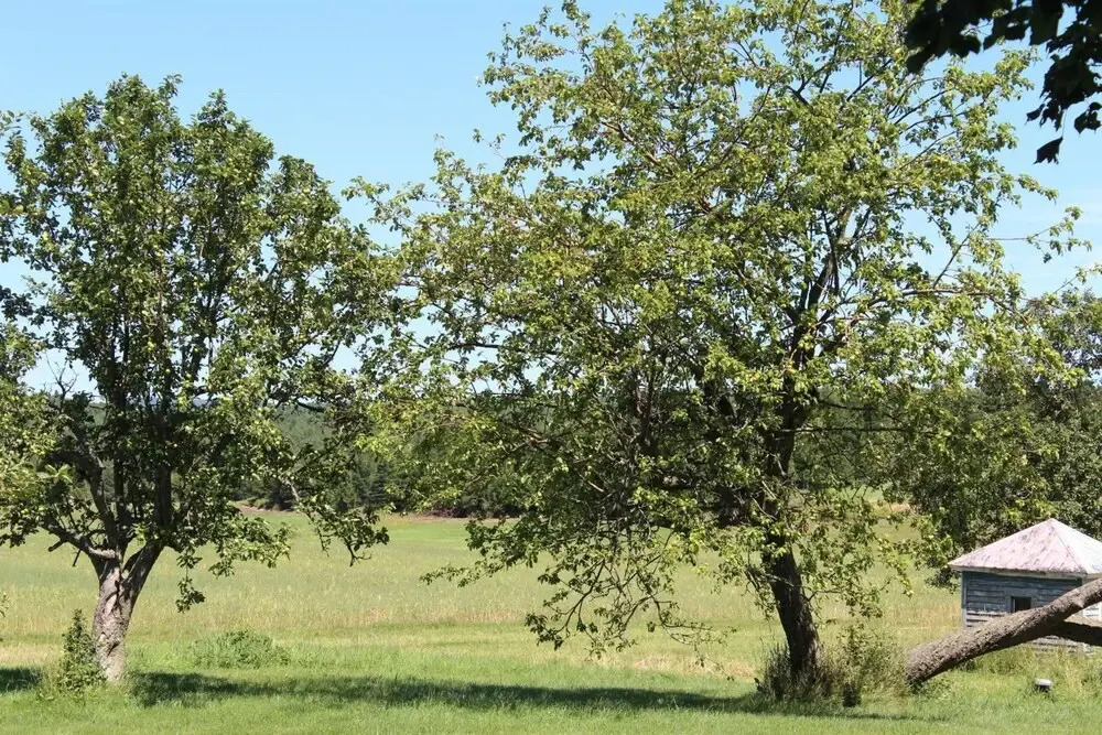 Gîte Touristique Prés et Vallons