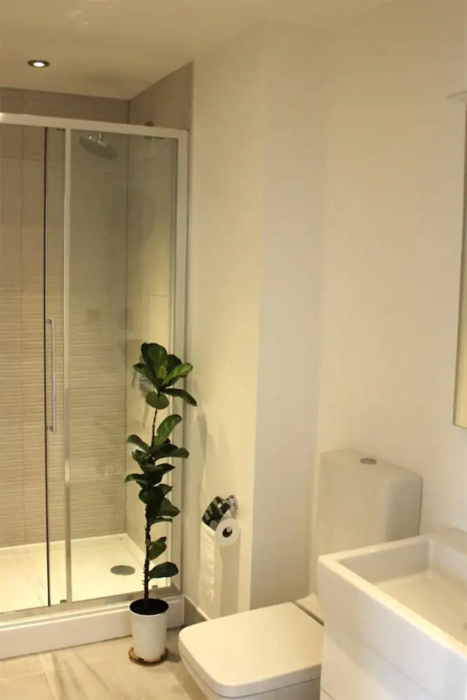 1 Bedroom Property in Central London With Terrace