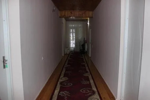 Mzia's House