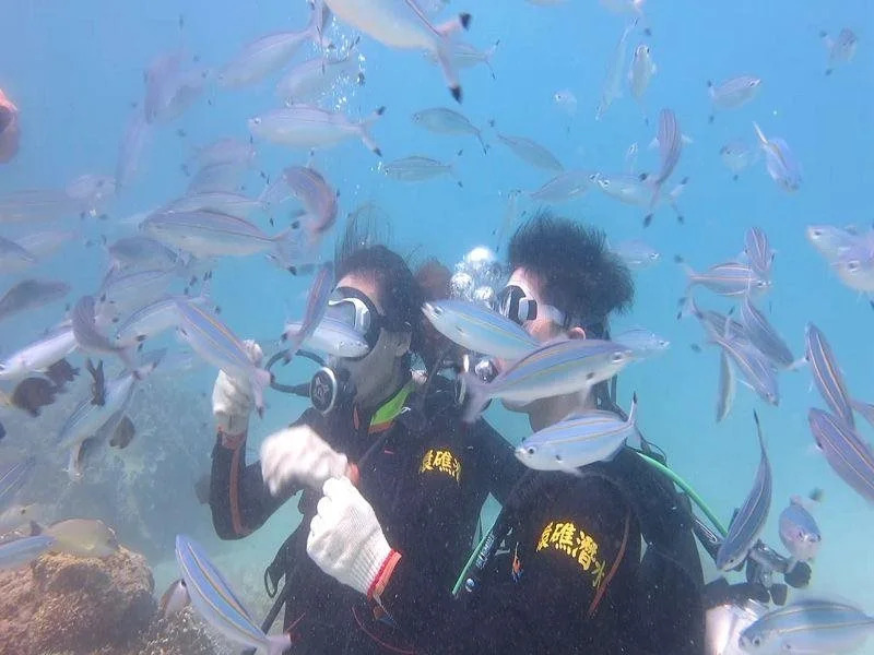 Atoll Dive Travel Center