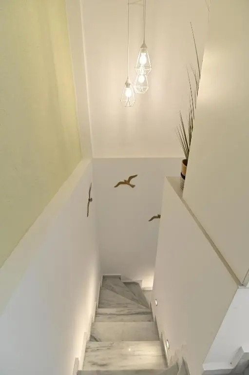 White Coral Luxury Apartments