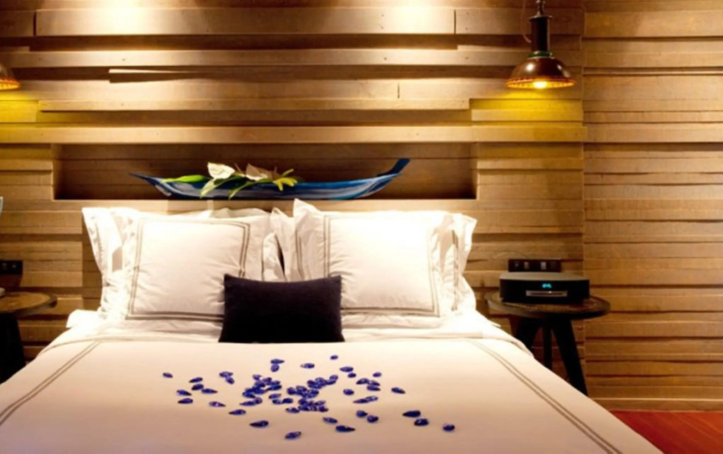 Room-hotel Mayank Plaza-near IGI Airport