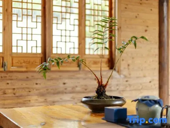 Yunshuiyu Moganshan Hot Spring Siheyuan Homestay