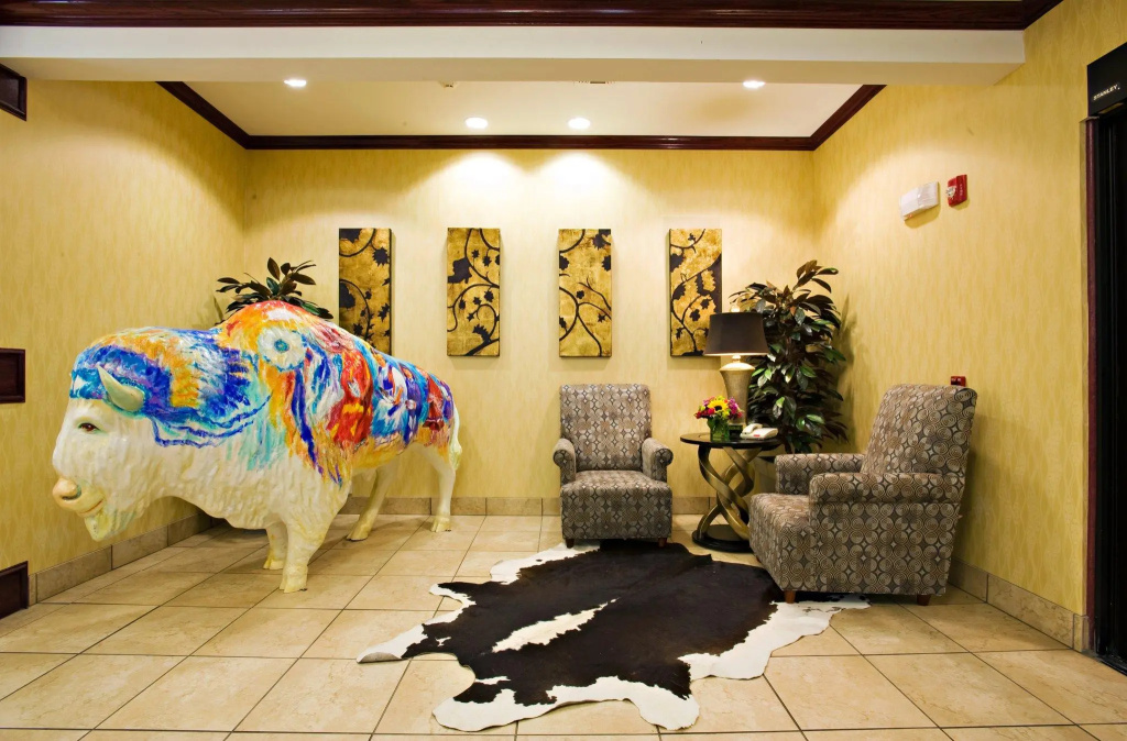 Holiday Inn Express &Suites Snyder by IHG