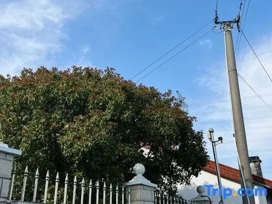 Shanghai Wuqi Xiaozhu Homestay