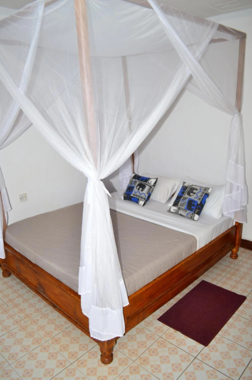 African wagtail hostel