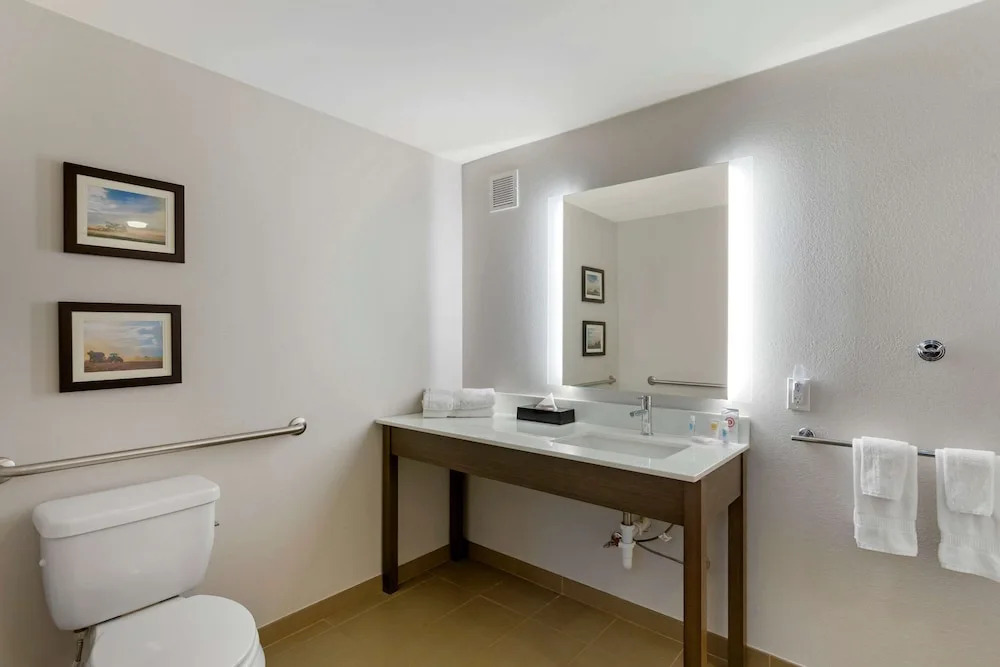 Comfort Inn Jonesboro Central