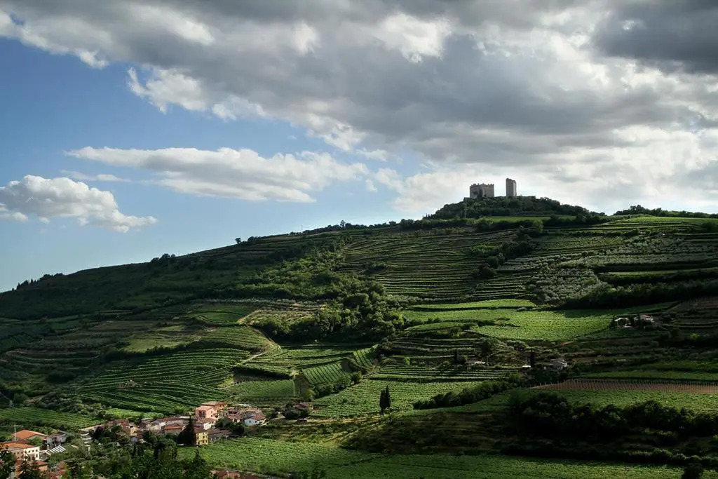 Villa di Cazzano - BioLuxury Living