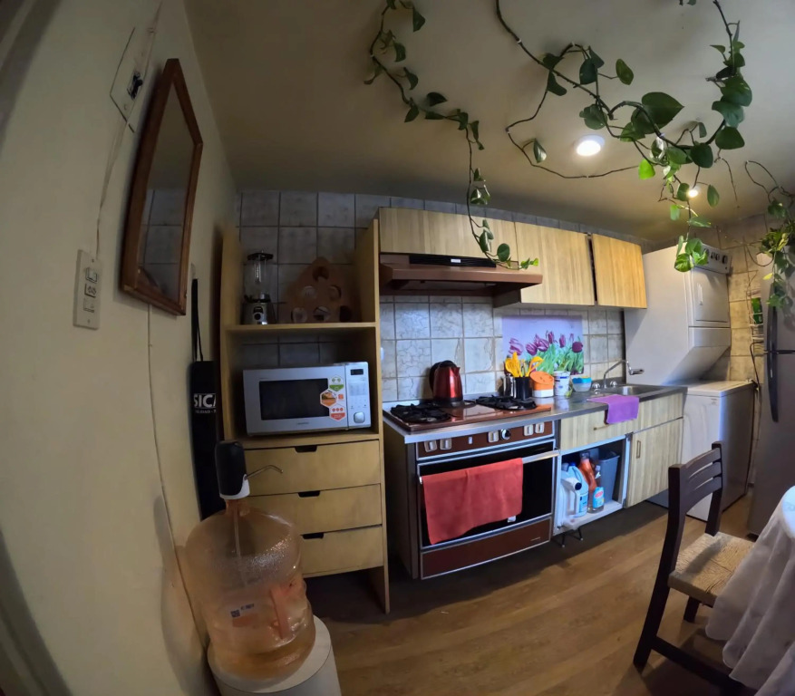 Neighbor of Frida Khalo, vintage stay in Coyoacán