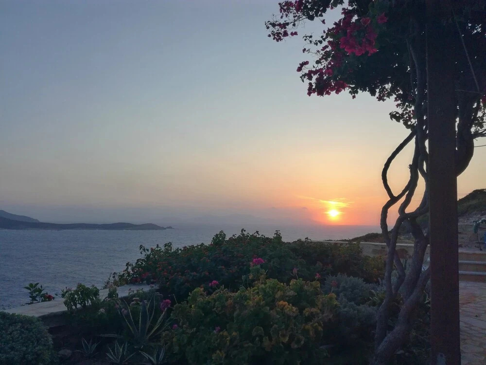 Antiparos Vibes
