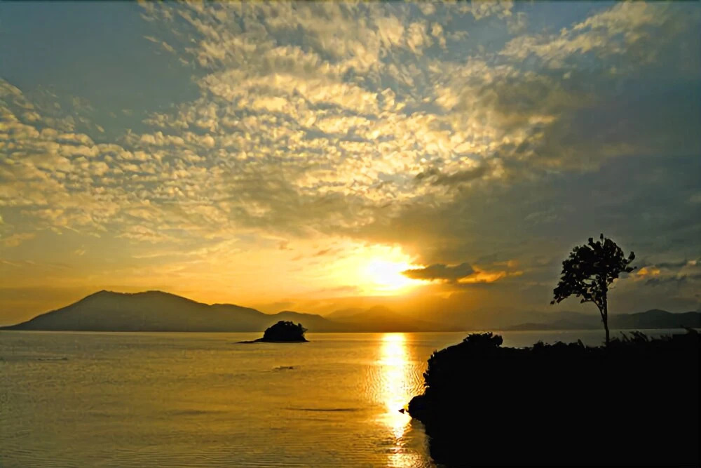 Suncheon Bay Pine Scent Pension