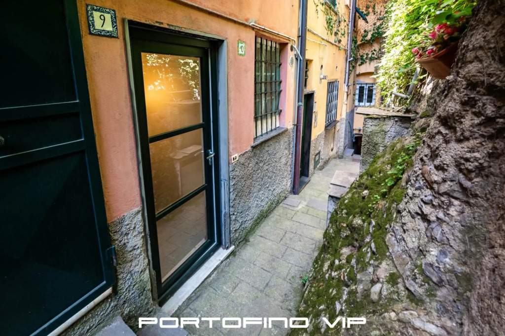 Your Window on Portofino