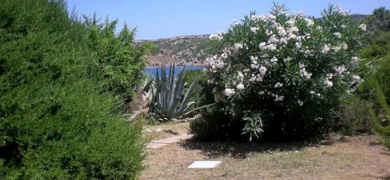 Sardegna Portoquadro