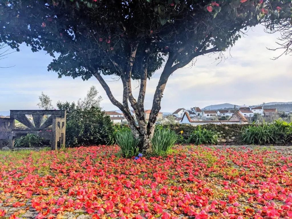 Quinta das Latas