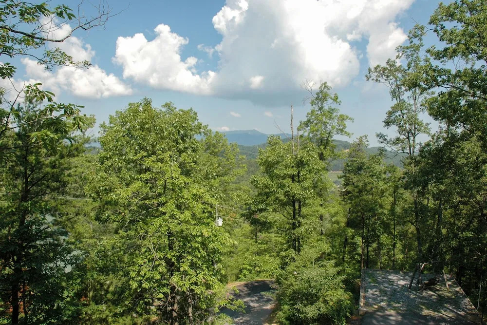BEAR'S VIEW - 2 Br Cabin