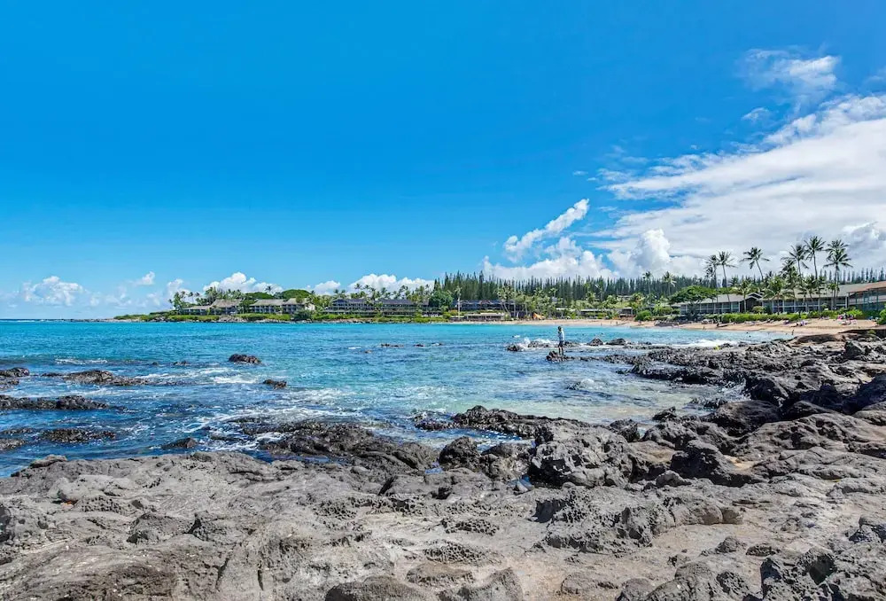 Napili Shores C117 Condo by Redawning