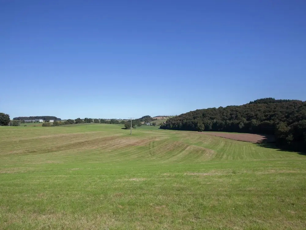 Halenfeld Family Farm Stay