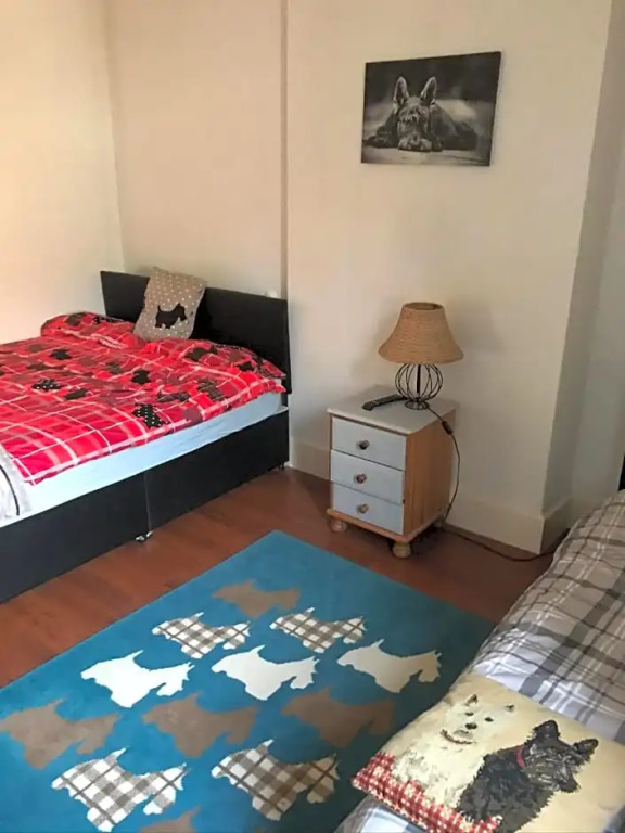 Scotty dog room 2