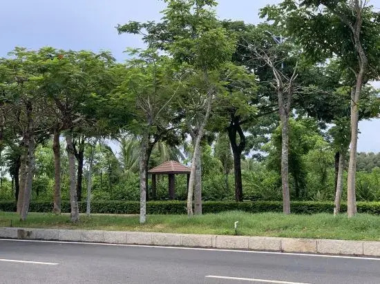 Sanya Father mark tribe