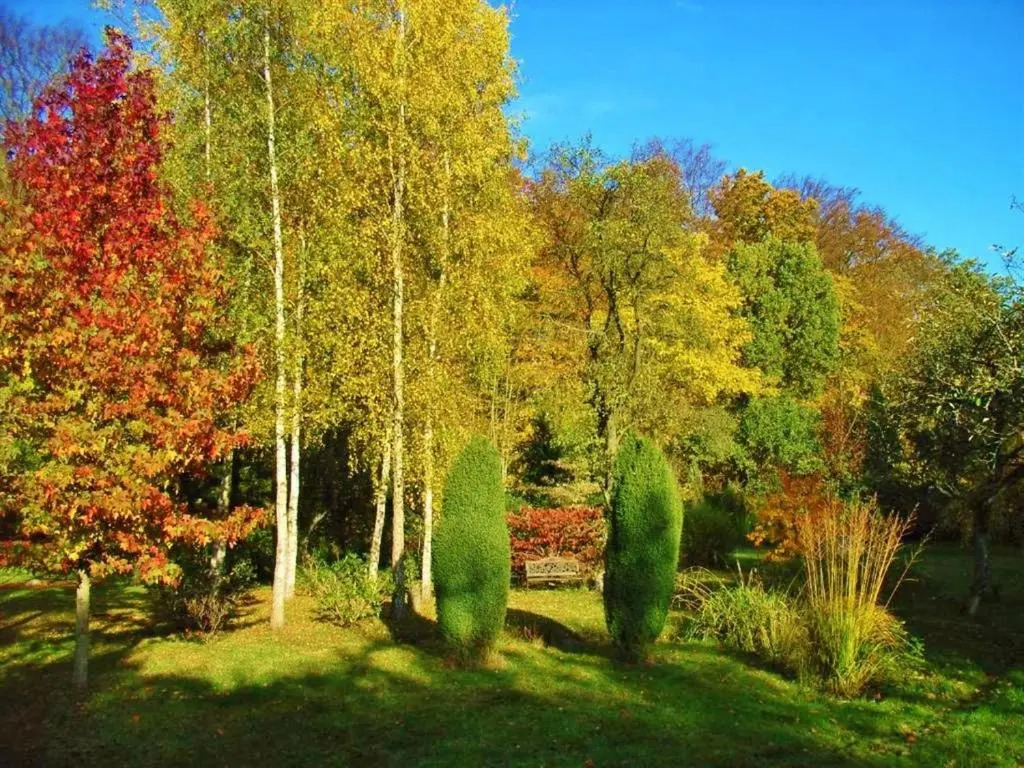 Ostsee Hotel-Pension An der Lindenallee