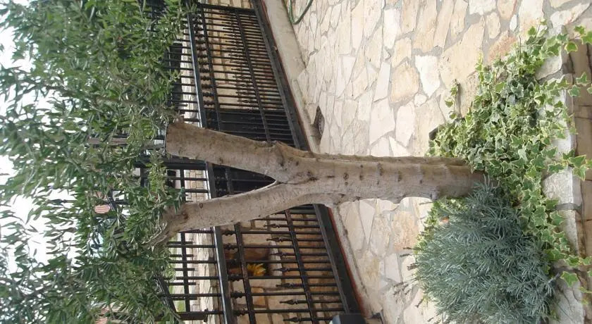 Apartments Prenc