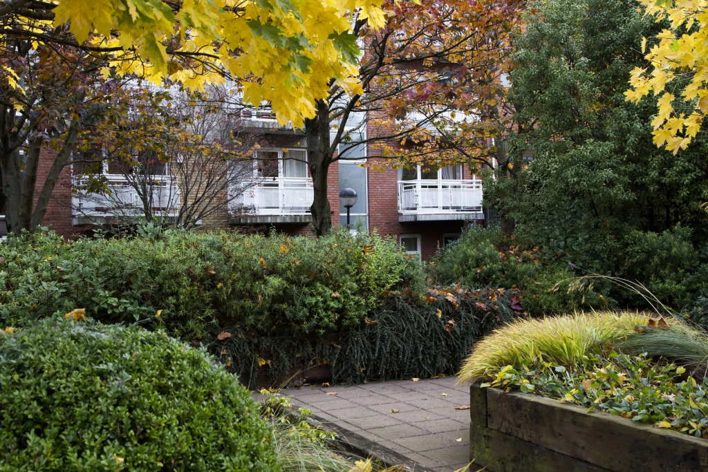 Windmill Lane 002