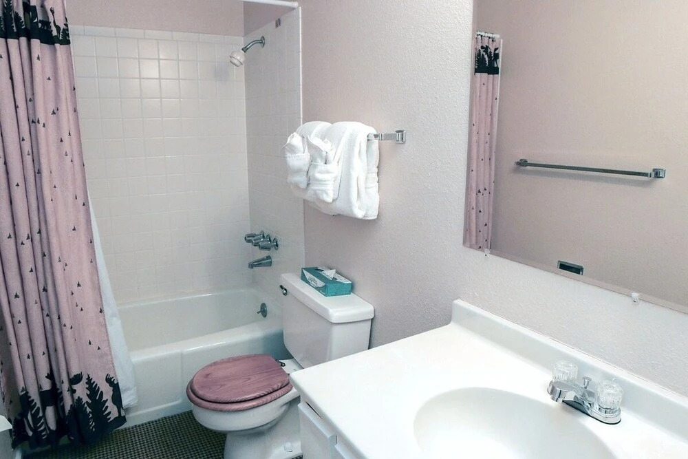 Fawn Valley Inn: 290 1 Bedroom Condo