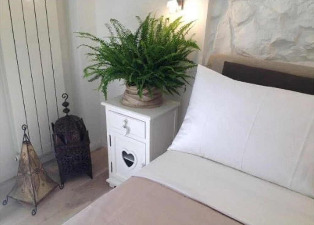 Vatican White Apartment - Vatican Cumfida