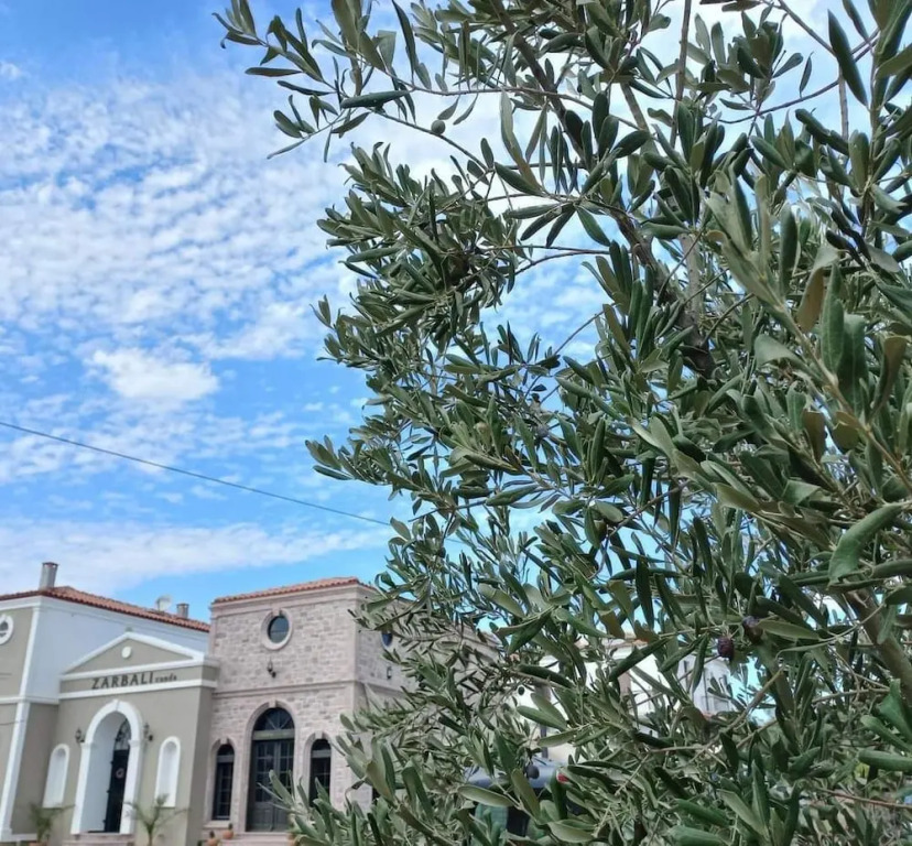 Zarbalı Cunda