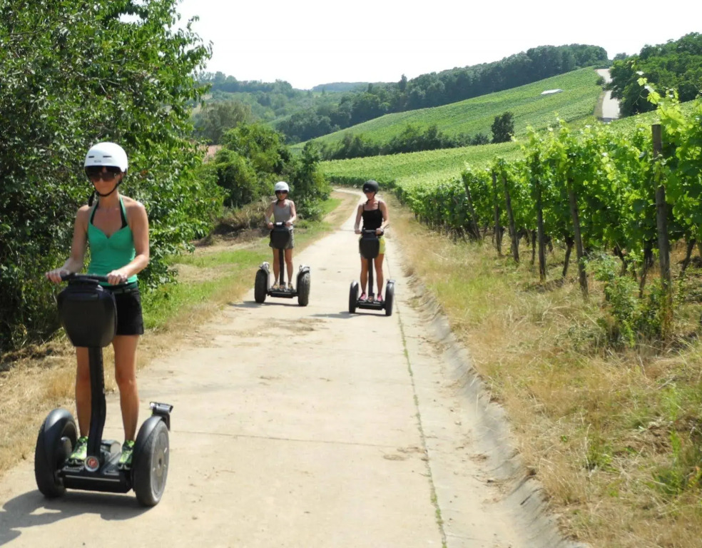 Worners Schloss Weingut & Wellness-Hotel