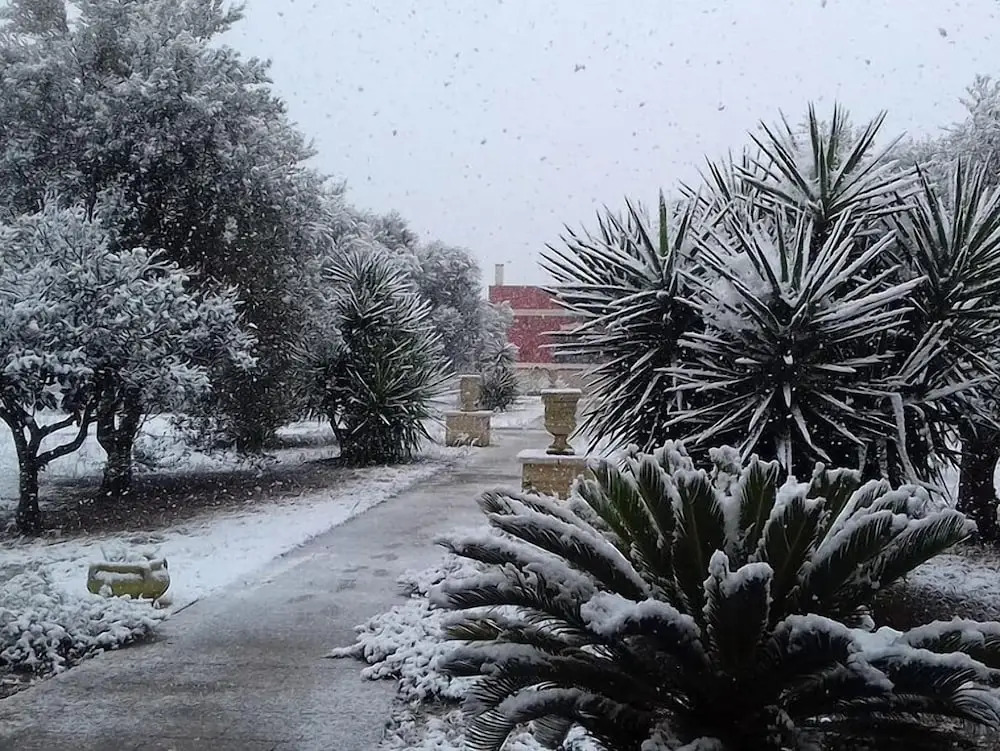 Almacanto B&B