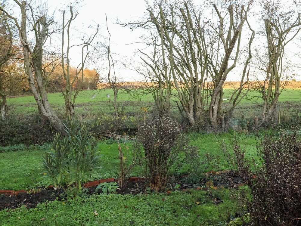 The Hare and Bumblebee Cottage