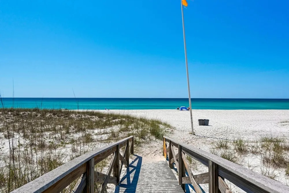 Dolphin Point 404c