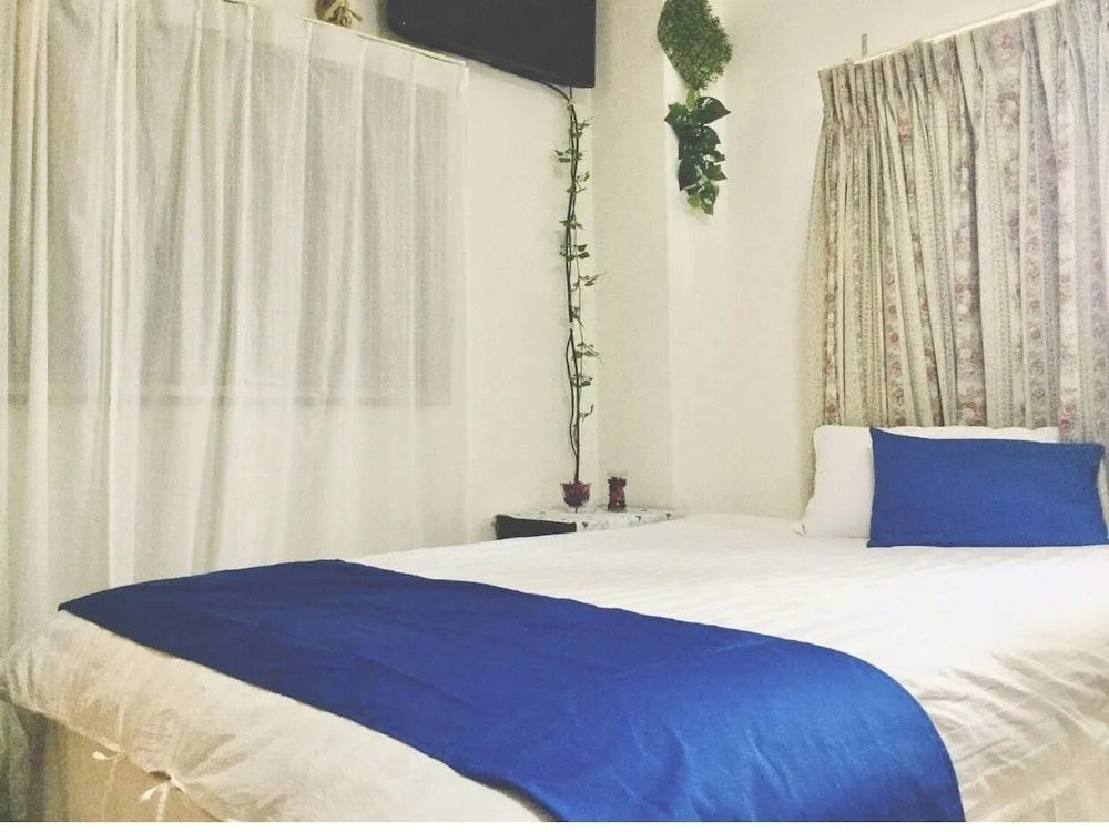 Asakusa Hotel 202