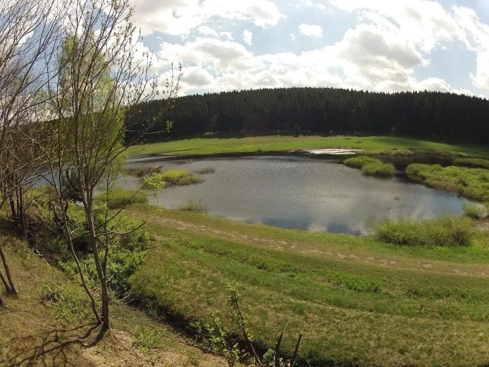 Holiday Home in Hasselfelde Near Selketalbahn