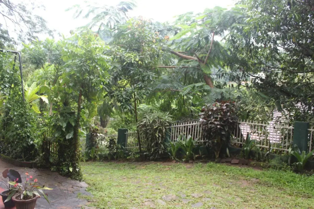 The Best Hostel