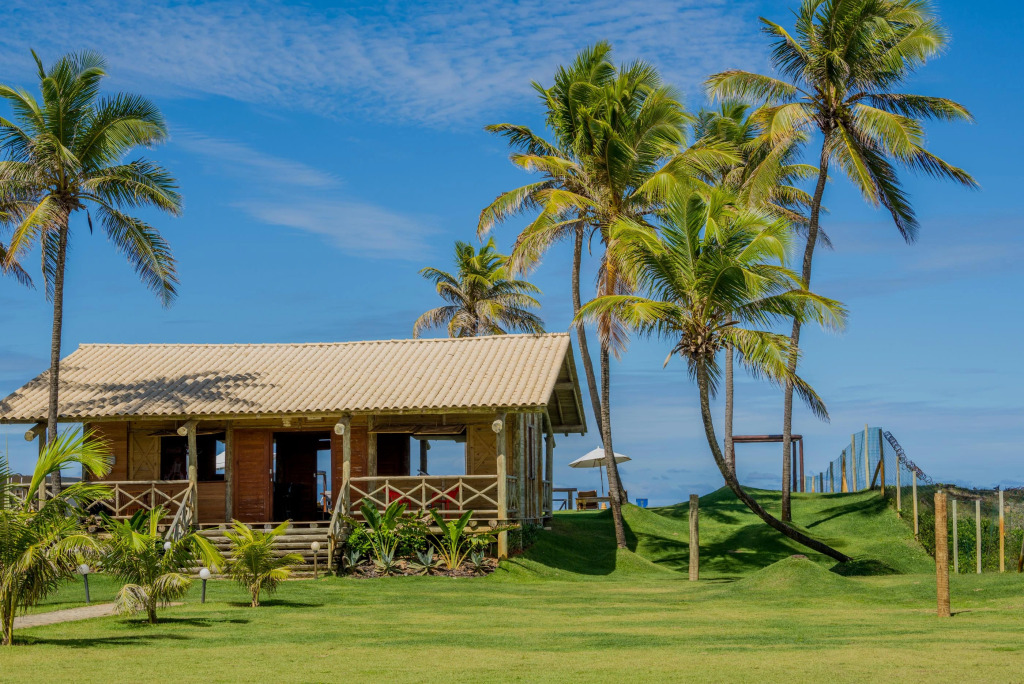 Tree Bies Resort - Oficial