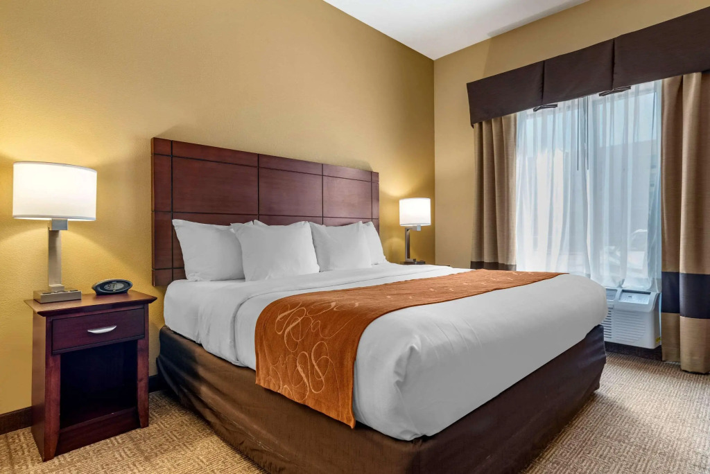 Comfort Suites Airport South