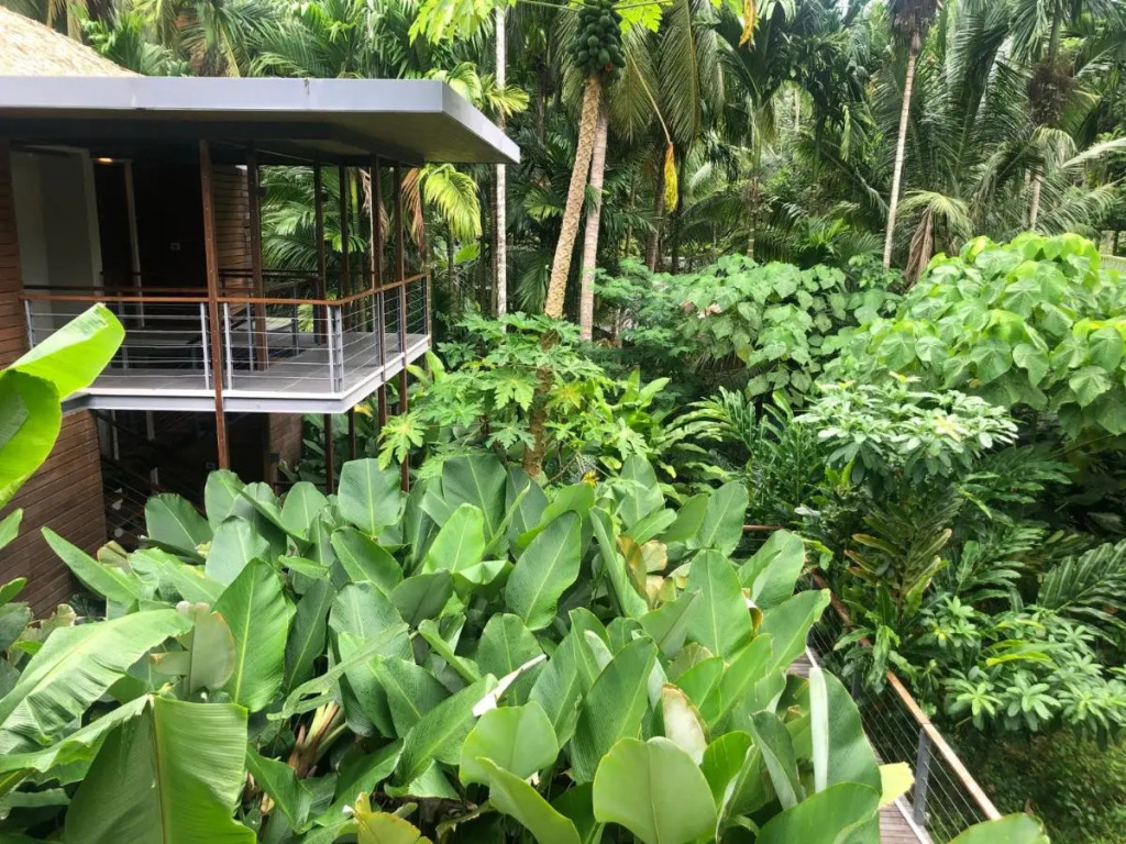 Tilar Siro Andamans - A CGH Earth Experience