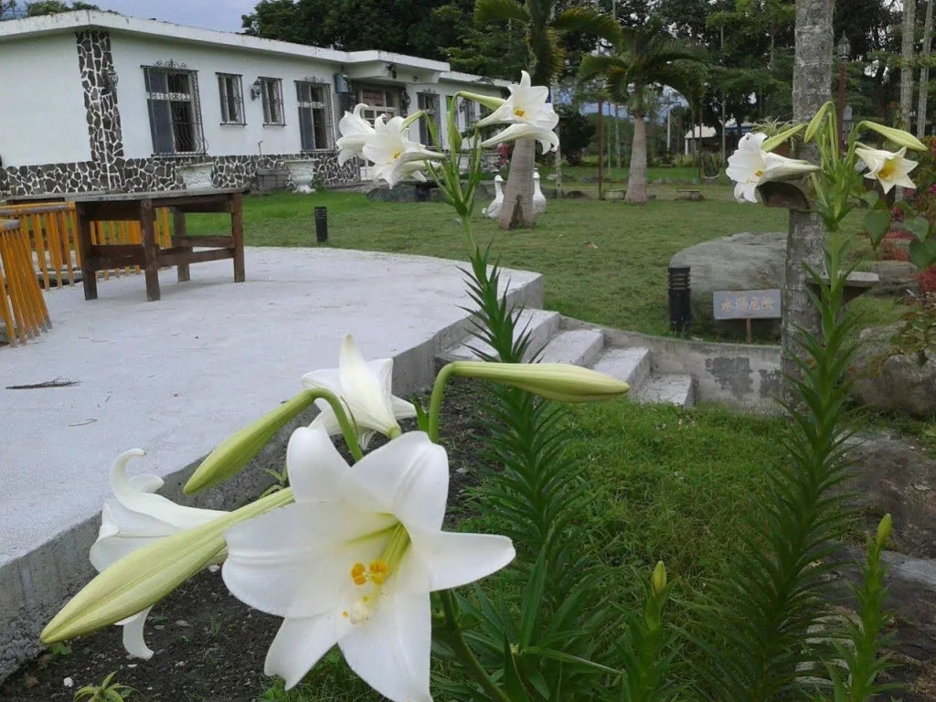 Ruisui Bincity B&B