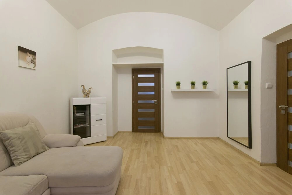 Spacious apartment near Wenceslas Square