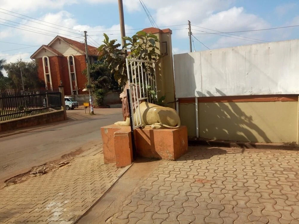 New Lions Hotel