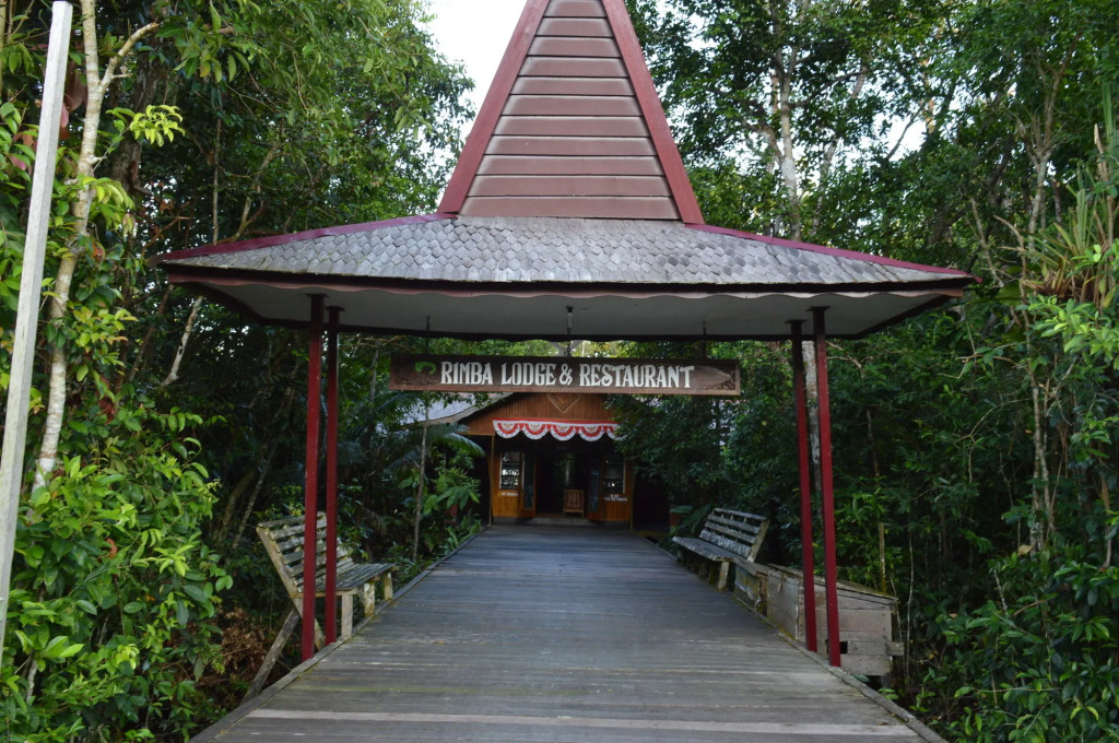 Rimba Orangutan Eco Lodge