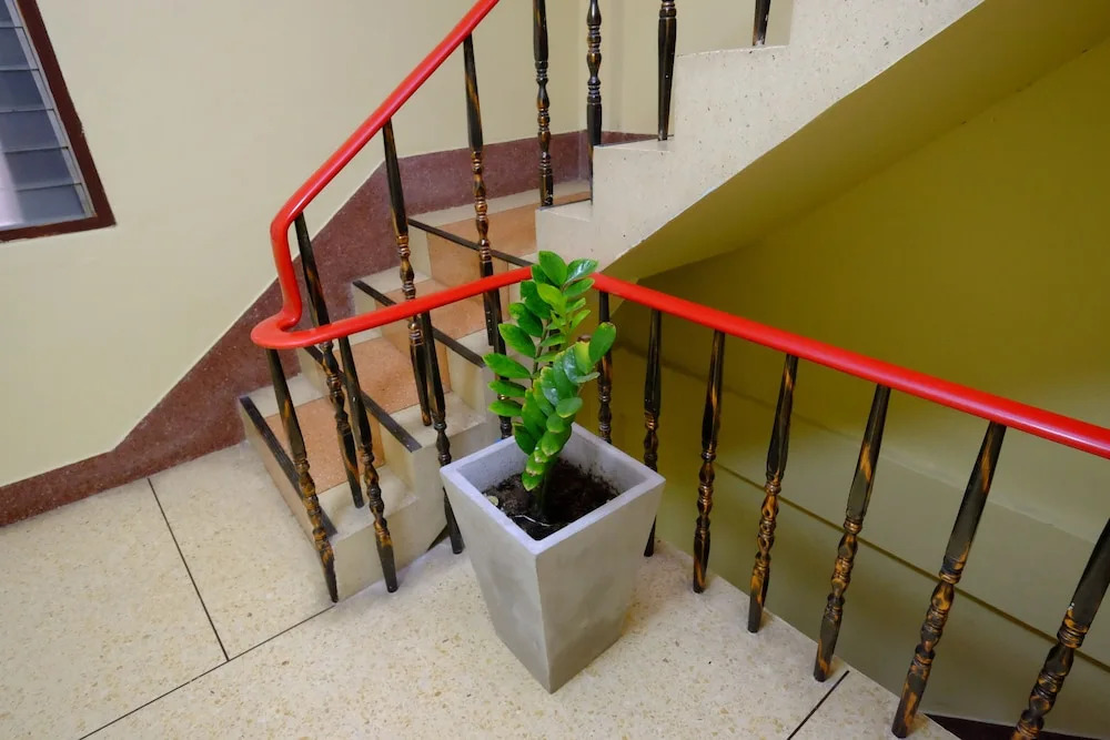 Midsummer Night Hostel