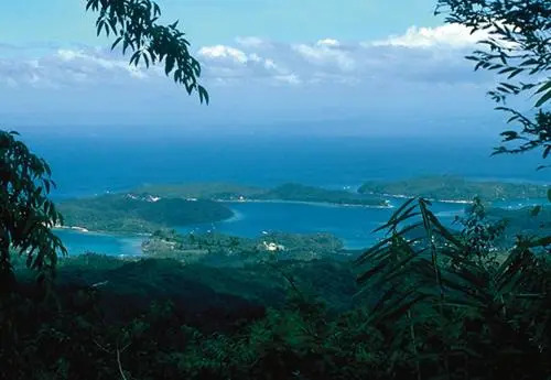 Bamboo Beach Resort