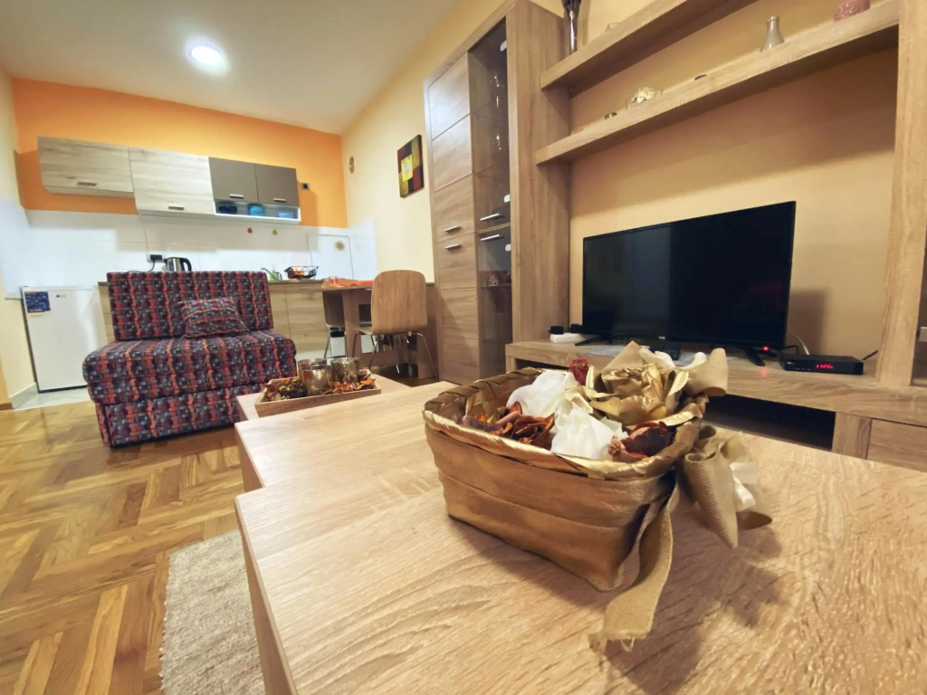 Apartment Vas Raj