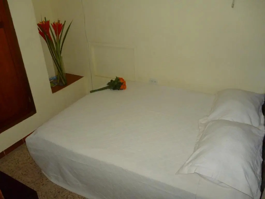 Tom Suites